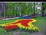 509222_23230_n_1