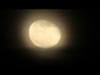 509643_69209_n_1