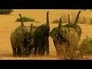 509671_93201_n_1