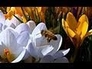 509839_15585_n_1