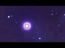 590511_33224_n_1