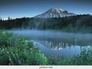 50465_486032_n_2