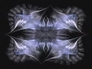 5725_3435665_n_2