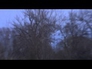 612553_76974_n_1