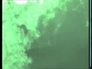 613471_49887_n_1