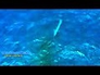 613998_88483_n_1