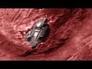 614451_89557_n_1