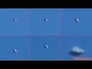 615626_88401_n_1