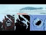 617161_57909_n_1