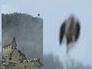 617634_82496_n_1