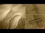 618028_68525_n_1