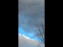 618210_77753_n_1
