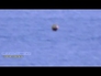 601156_65580_n_1