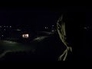601750_44217_n_1