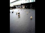 610840_13220_n_2