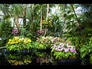 610905_69243_n_2