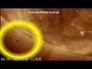 621571_41541_n_1