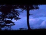 621792_82973_n_1