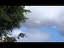 621794_29828_n_1