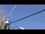 623124_42467_n_1