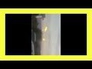 624469_63789_n_1