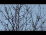 625211_18405_n_1