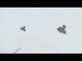 625736_73308_n_1
