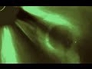 626239_81881_n_1
