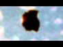 627130_10557_n_1
