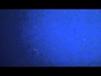 627247_42224_n_1
