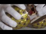 627445_85109_n_1