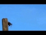 627989_19975_n_1