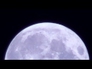 602483_16674_n_1