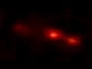 620234_34019_n_1