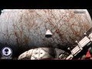 620699_95230_n_1