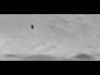 620856_92976_n_1