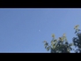 634059_12267_n_1