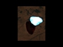 634064_11881_n_1
