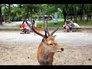 636099_42513_n_2