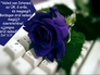 636285_84694_n_4