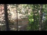 636378_60153_n_1