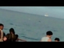 636444_28345_n_1