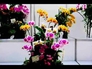 636504_39547_n_3