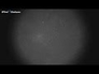 636823_26252_n_1