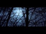 636906_19014_n_1