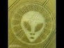 637622_22390_n_1