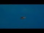 638750_29220_n_1