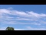 638910_26146_n_1