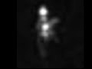 603298_44618_n_1