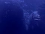 603621_79805_n_1